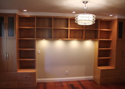 Eileen’s Custom Wall Unit