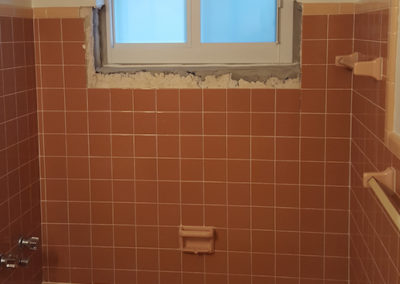 ross and eric guest bathroom 2