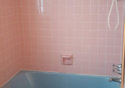 terri and karmen guest bathroom10